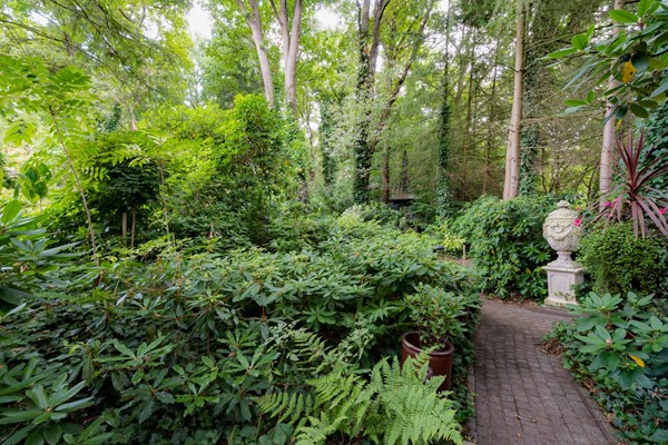 Medium property photo - Patersweg 9, 5951 NC Belfeld